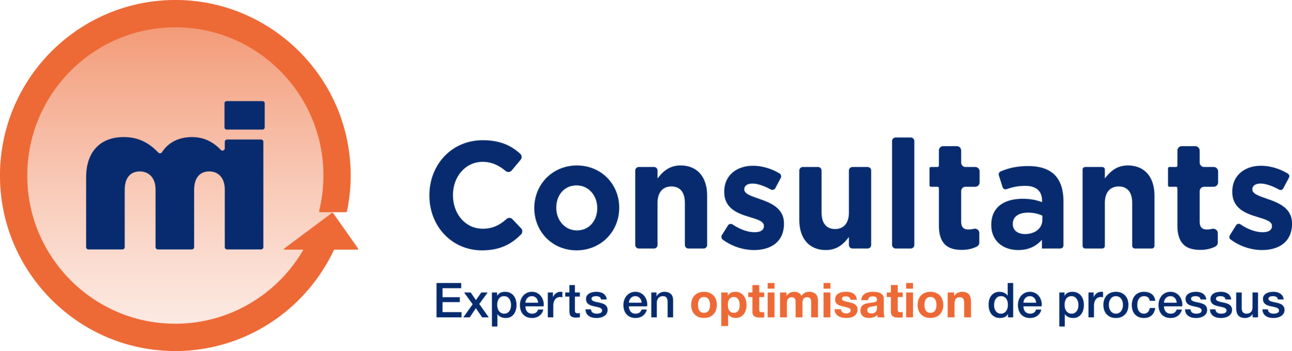 MI-Consultants